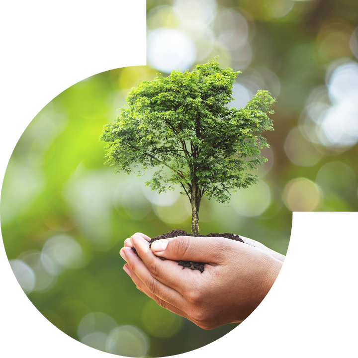 关怀人类、文化、环境与社会