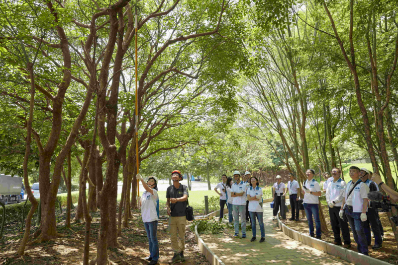 藝師教導大家認識樹木、檢查樹的健康狀況，學習修枝及碎枝覆土