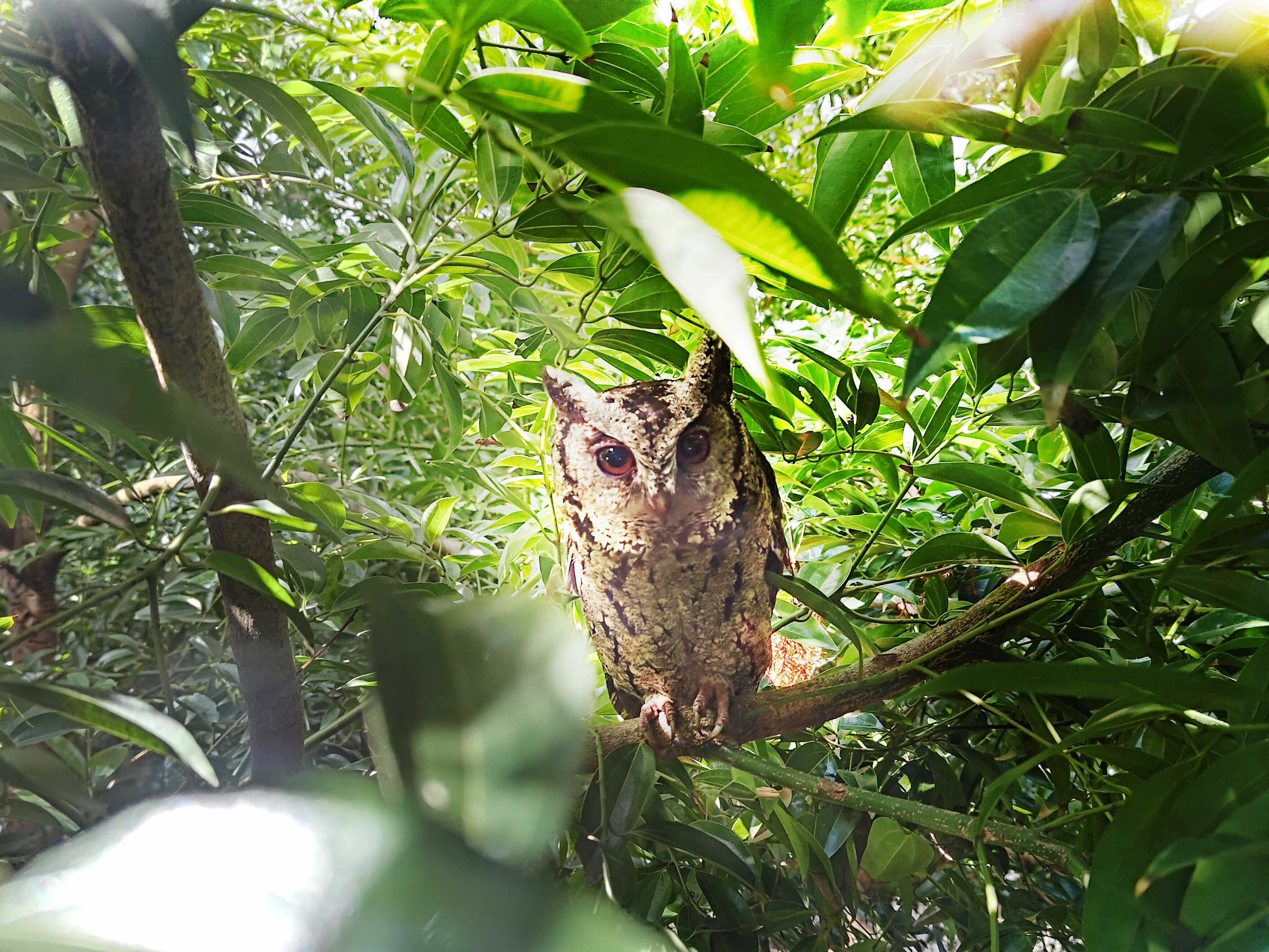 米兰·(milan)致力提倡净零绿生活，16年以来在全球各厂区植树逾百万棵，造就各厂区树木蔚然成林，犹如森林工厂，成为许多生物的栖息地